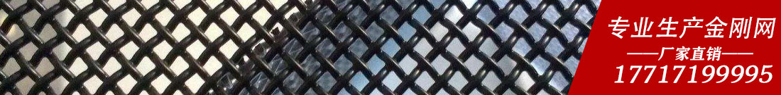 薩邦專業生產金剛網